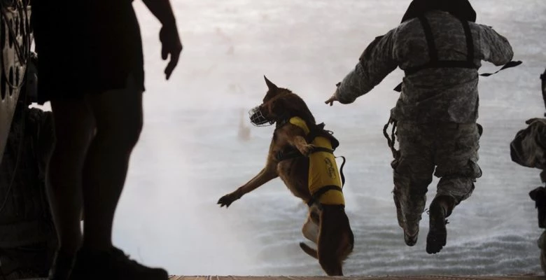 Συνεκπαίδευση των καλύτερων Αμερικανών κομάντος Navy Seals και των Ελληνικών της Μονάδας ΟΥΚ (εικόνες)